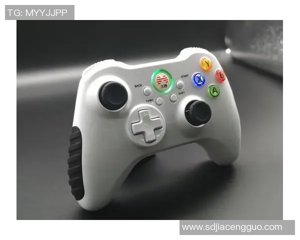 生化危机9豪华版内容揭秘限定手柄设计引发玩家热议 生化危机9豪华版内容揭秘限定手柄设计引发玩家热议