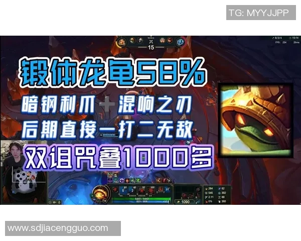 锻体龙龟新挑战开启，快来一起体验锻炼的乐趣与力量提升